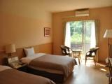 Deluxe Triple room with land view