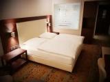 Deluxe Double room with river view