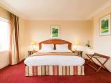 Superior Double Suite