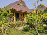 Family Bungalow