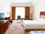 Deluxe Twin room with city view