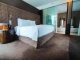 Executive Double Suite