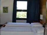 Standard Double room with balcony and with mountain view