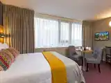 Standard room with river view