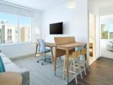 1 Bedroom Suite