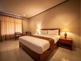 Deluxe Double room with garden view