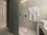 Superior Double room with balcony and with garden view