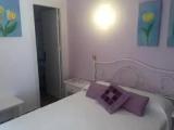 Standard Single room with garden view