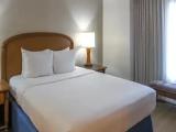 1 Bedroom Single Suite