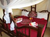 Standard Double room with garden view