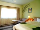 Superior room with city view
