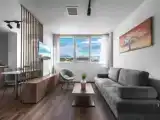 Deluxe Suite with city view