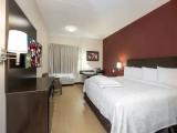 Premium Double Suite