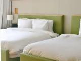 Standard Double room with partial sea view