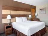 1 Bedroom Suite
