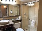 1 Bedroom Suite with balcony and with city view