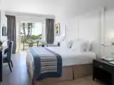 Deluxe room with balcony and with view