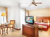 Deluxe room with garden view