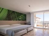 Premium Double room with balcony and with sea view