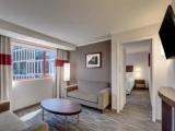 1 Bedroom Executive Double Suite with city view