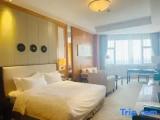 Standard Single room with garden view