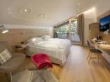 Deluxe Double room with balcony and with mountain view