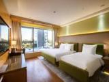 Standard Double room with partial ocean view