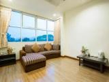 Single Suite