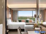 Premier room