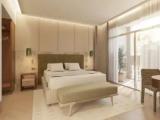 1 Bedroom Double Suite with view