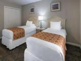 2 Bedrooms Suite