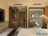 Deluxe room with city view