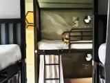 Bed in Dorm