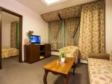 1 Bedroom Junior Suite