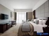Premier Suite
