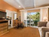 1 Bedroom Double Suite with pool view