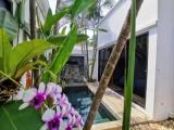 1 Bedroom Double Villa