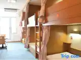 Bed in Dorm