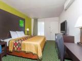 Standard Double room with garden view