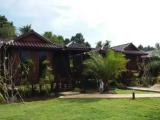Standard Villa