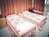 Standard Double room with garden view
