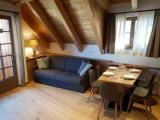 Double Family Apartment