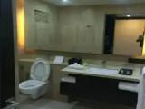 Premier Single room