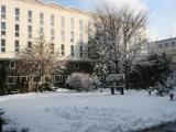 Business Plus Single room