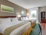 1 Bedroom Quadruple Suite