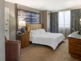 Studio Double Suite with city view