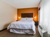 1 Bedroom Double Basement Suite