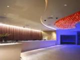 Executive Double Studio
