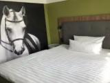 Comfort Single room