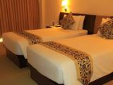 Superior Twin Family room